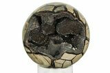 Polished, Septarian Geode Sphere - Madagascar #219111-1
